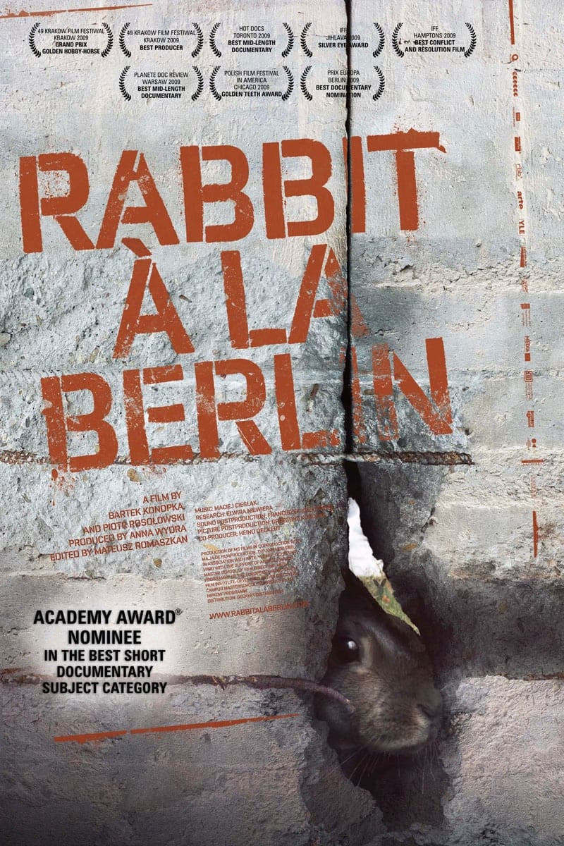 4. rabbit