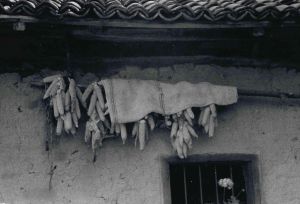 img95
