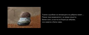 izlojba.00 00 11 00.Still002