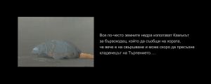 izlojba.00 00 22 23.Still009