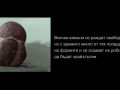 izlojba.00 00 42 08.Still017
