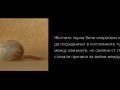 izlojba.00 01 03 15.Still004