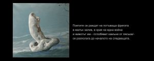 izlojba.00 01 22 08.Still011